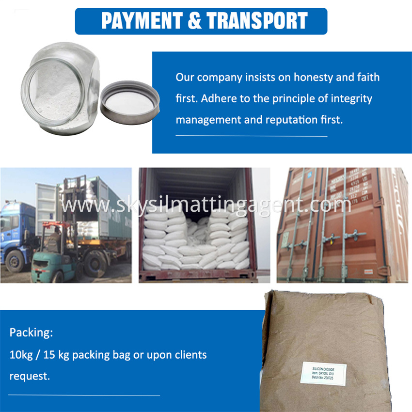 Payment Transport